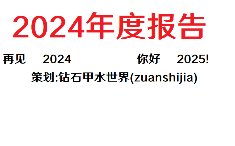 2024年度总结报告